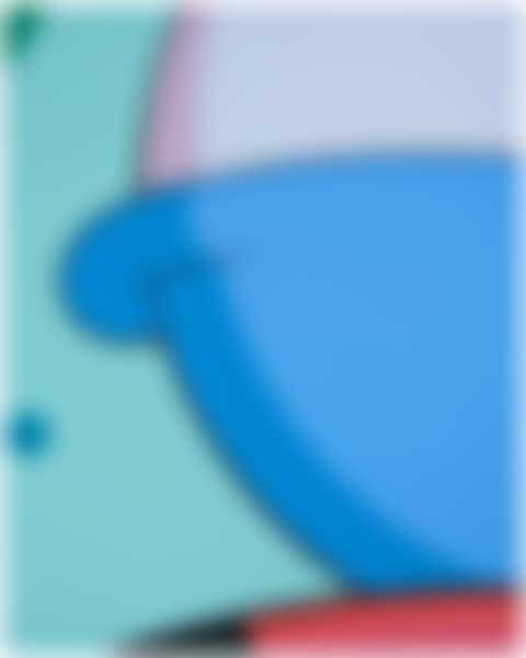 "Untitled (KAWS x Mocad) " (preview)