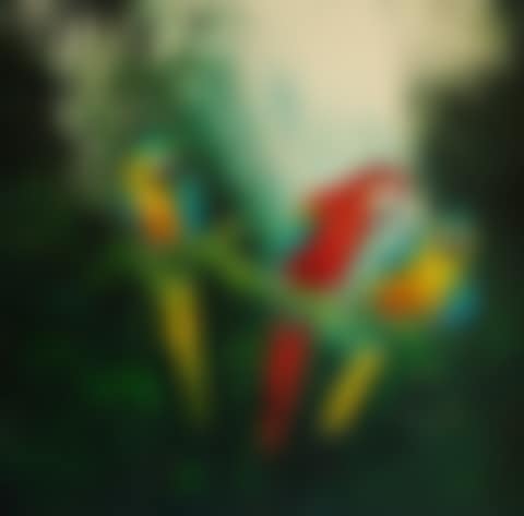 Green Paradise IV (preview)