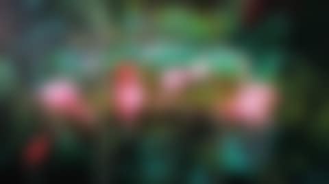 Green Paradise XII (preview)