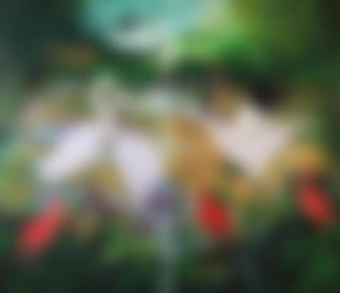 Green paradise XIII (preview)