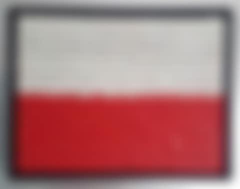 Polish People Forming National Flag (preview)