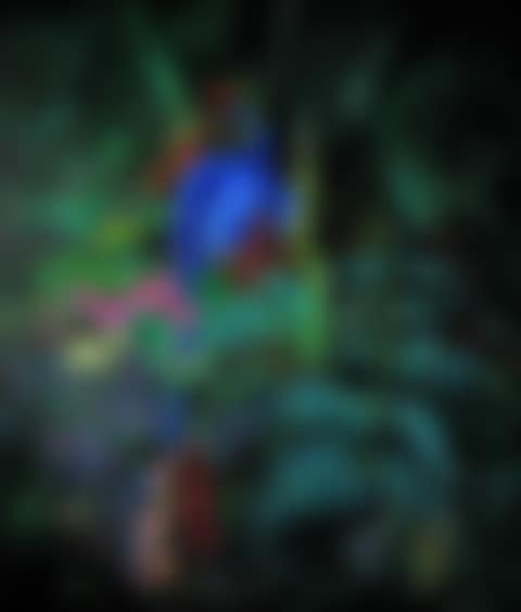 Green Paradise XVI (preview)