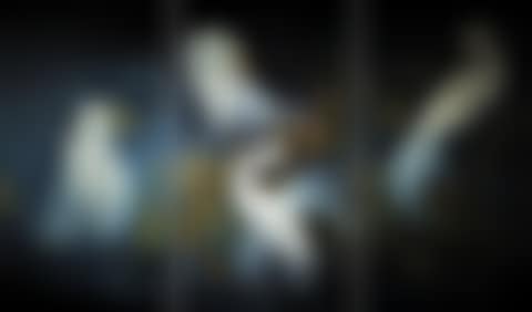 White Wedding (preview)