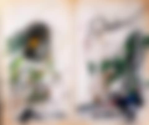 The spirit nature (preview)