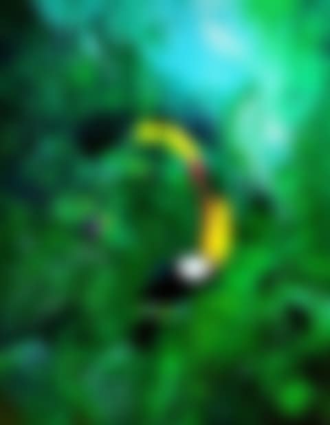 Green Paradise II (preview)