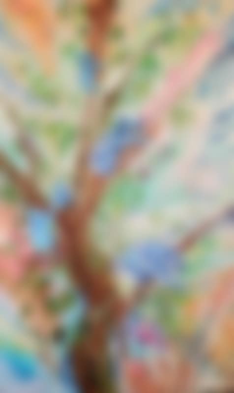 KOALA FAMILY (preview)