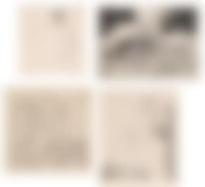Carl Anton Reichel (preview)