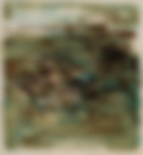 Untitled (preview)