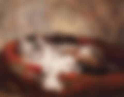 A mother and her kittens (preview)
