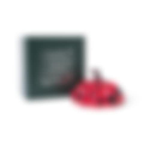 Naoshima Red Pumpkin (preview)
