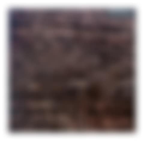 SP175 (preview)