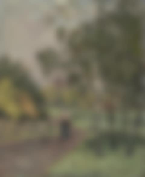 "Woman on a Country Lane" probably 1882 (preview)
