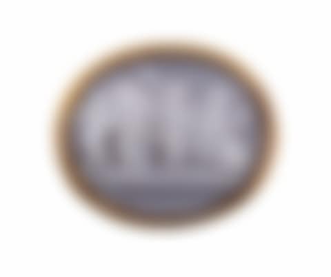 Important sardonic shell cameo (preview)