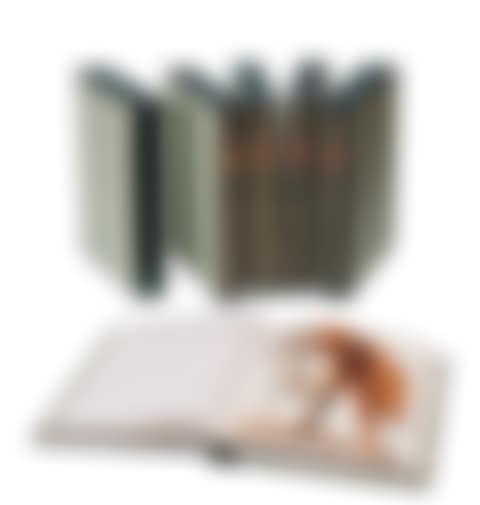 Biblia sacra vulgatae editionis (preview)
