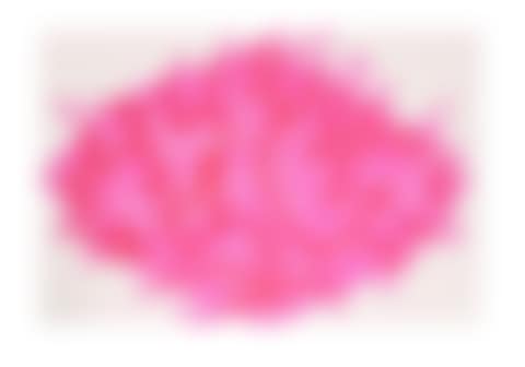 Red Rose (preview)