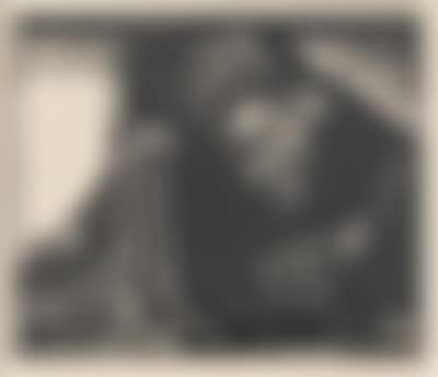 Käthe Kollwitz (preview)