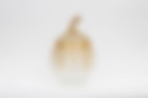 Piriform pot and its lid (preview)