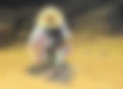 The shell, flap (preview)