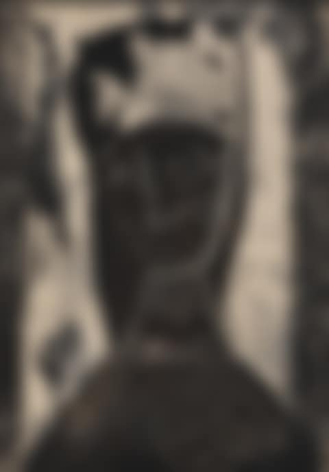 The portrait from imagination (preview)