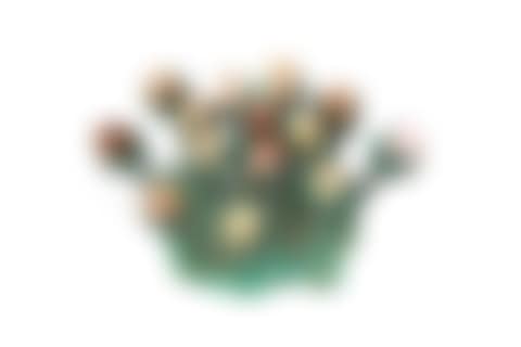 The Flowers (preview)