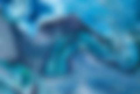 "Animal 13" (preview)