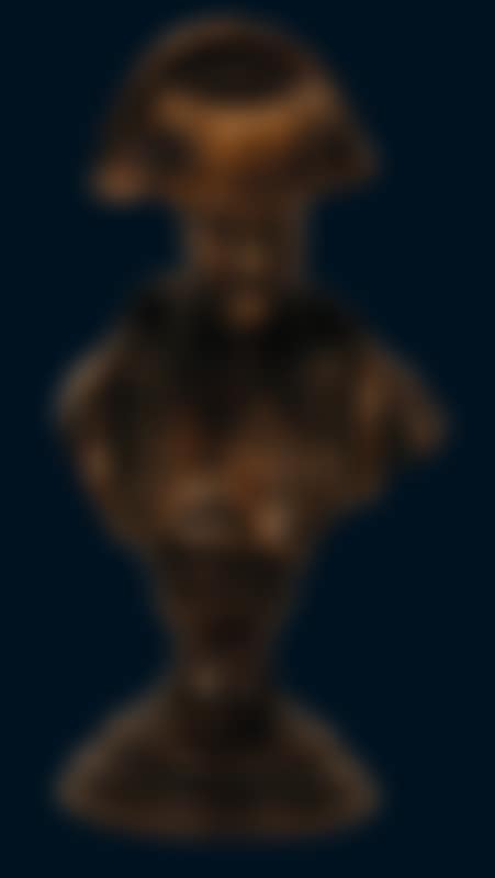 Bust of Napoleon (preview)