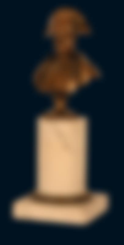 Bust of Napoleon (preview)