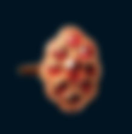 Ring (preview)