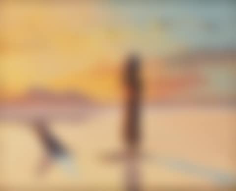 And the crocodile calmly sailed away (preview)