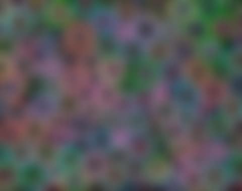"Untitled (Bonita)" (preview)