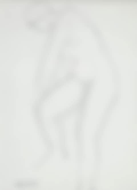 WOMAN"S NUDE, OK (preview)