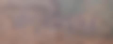 Madonna with an infant (preview)