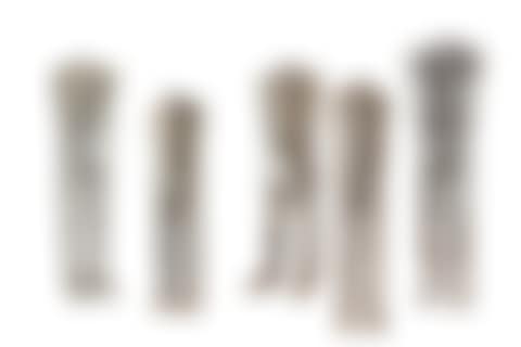 The set of 5 figures; Figure 1: (from left to right) (preview)