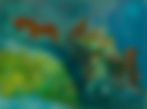 Towards Light Land (preview)