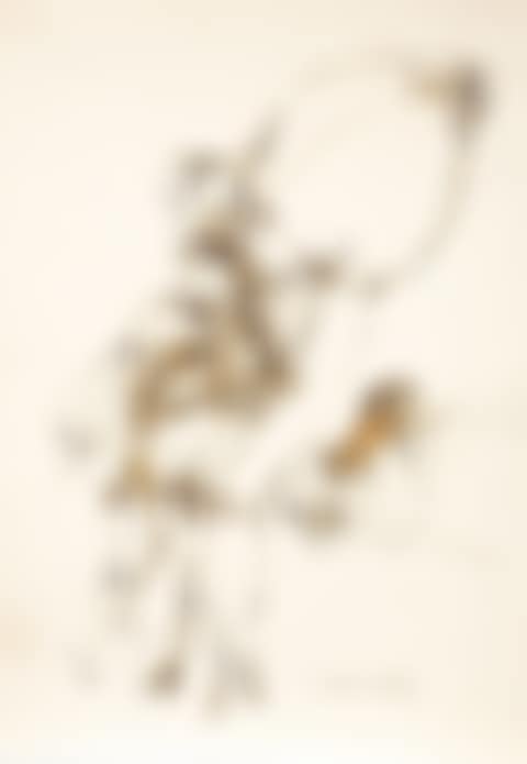 ABSTRACT COMPOSITION (preview)