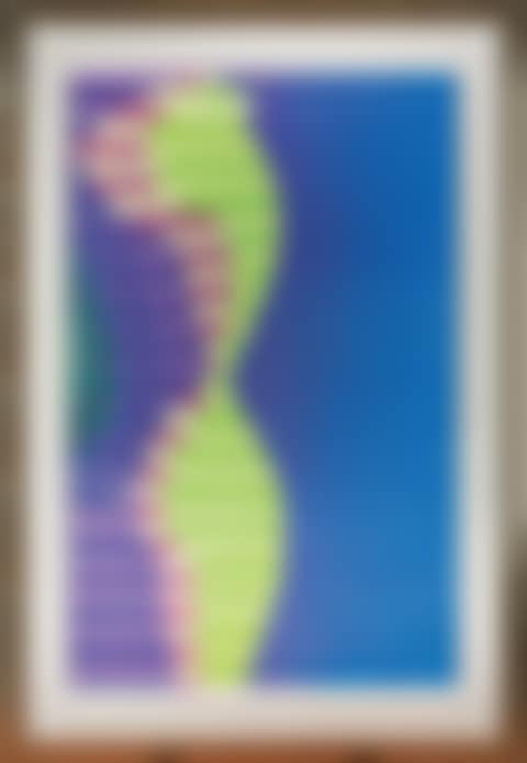 Venus bicolor (preview)