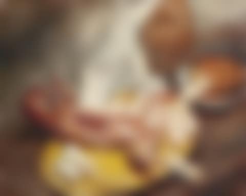 STILL LIFE WITH A HARE (preview)