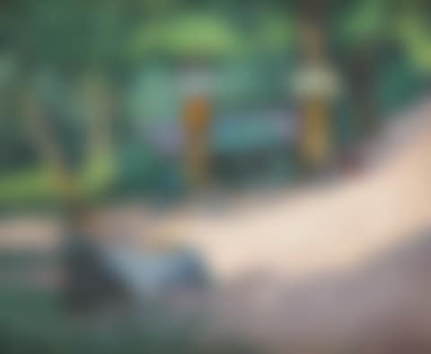 Scene in a park (preview)