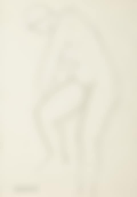 Nude of a woman (preview)