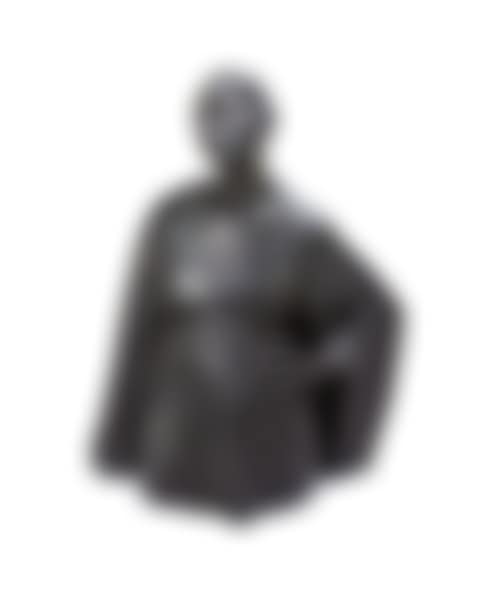 Torso of a woman (preview)