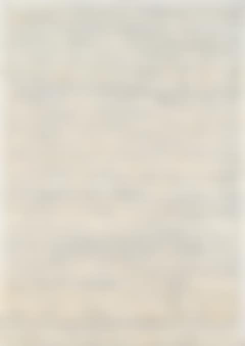 "Journal 29 XI - 17 I" (preview)