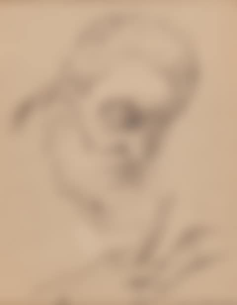 Man"s head (preview)