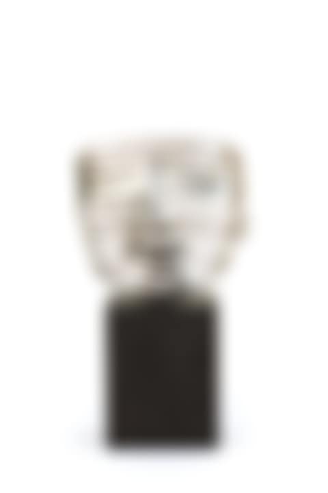 Veiled Face (preview)