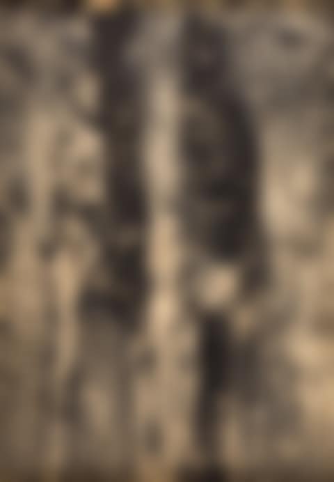 "Black and white" from the series "War versus human" (preview)