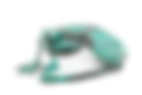Frog (preview)
