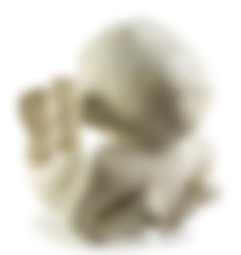 From the series "Glass Beads" (preview)