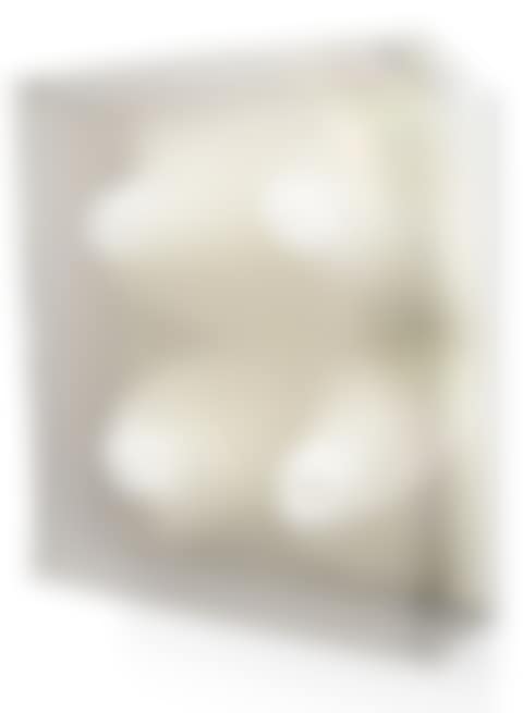 Untitled (preview)