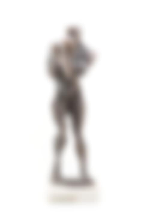 Boxer (preview)