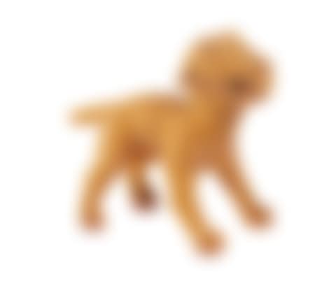Dog (yellow) (preview)
