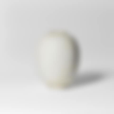 Vase (preview)